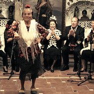 サクロモンテの丘〜ロマの洞窟フラメンコ 3枚目の写真・画像