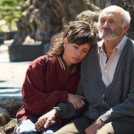 オリーブの樹は呼んでいる 1枚目の写真・画像