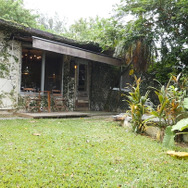 沖縄のおしゃれ朝食はココに決まり！ 緑に囲まれた一軒家カフェの絶品パン