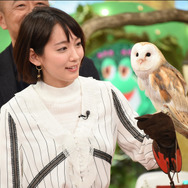 「新どうぶつ奇想天外！～さかなクン自慢の珍魚に吉岡里帆も絶賛！動物の特殊能力SP」-(C)TBS