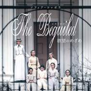 『The Beguiled/ビガイルド 欲望のめざめ』第1弾ビジュアル　（C)2017 Focus Features LLC. All Rights Reserved.