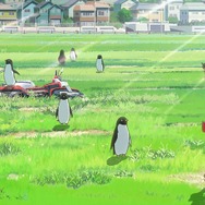 『ペンギン・ハイウェイ』(c) 2018 森見登美彦・KADOKAWA／「ペンギン・ハイウェイ」製作委員会