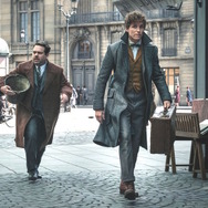 ファンタスティック・ビーストと黒い魔法使いの誕生 5枚目の写真・画像