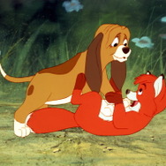 きつねと猟犬(C)APOLLO