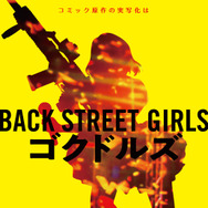 BACK STREET GIRLS －ゴクドルズ－ 3枚目の写真・画像
