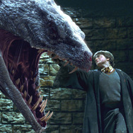 ハリー・ポッターと秘密の部屋(C)APOLLO