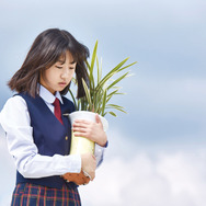 飛べない鳥と優しいキツネ 5枚目の写真・画像