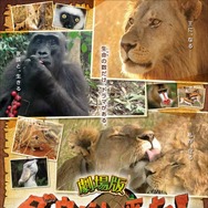 劇場版 ダーウィンが来た！アフリカ新伝説 1枚目の写真・画像