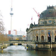 彼が愛したケーキ職人 11枚目の写真・画像