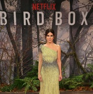 Netflixオリジナル映画『バード・ボックス』12月21日（金）より全世界同時オンラインストリーミング