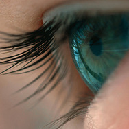 ボヤージュ・オブ・タイム 1枚目の写真・画像