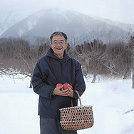 いのちの林檎 1枚目の写真・画像