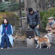 『美人が婚活してみたら』（C）2018吉本興業