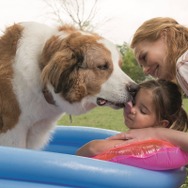 僕のワンダフル・ジャーニー 2枚目の写真・画像