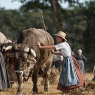 田園の守り人たち 5枚目の写真・画像