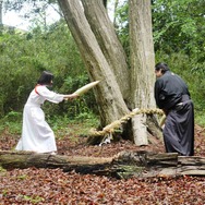 土曜プレミアム「世にも奇妙な物語 ’19雨の特別編」（C)フジテレビ