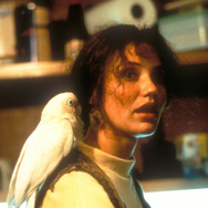 マルコヴィッチの穴 2枚目の写真・画像