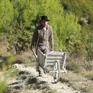 シュヴァルの理想宮 ある郵便配達員の夢 10枚目の写真・画像