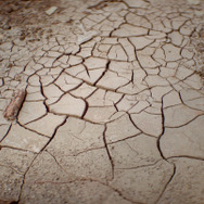 気候戦士 ～クライメート・ウォーリアーズ～ 11枚目の写真・画像