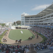 今日もどこかで馬は生まれる 3枚目の写真・画像