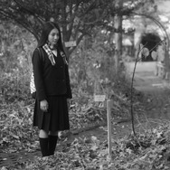 モルエラニの霧の中 11枚目の写真・画像