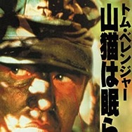 山猫は眠らない 1枚目の写真・画像