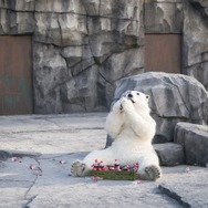 シークレット・ジョブ 6枚目の写真・画像