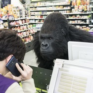 シークレット・ジョブ 11枚目の写真・画像