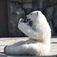 シークレット・ジョブ 12枚目の写真・画像