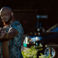 リベンジ・アイランド 7枚目の写真・画像