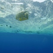 プラスチックの海 2枚目の写真・画像