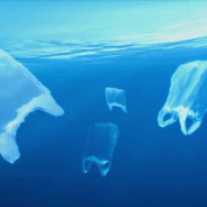 プラスチックの海 16枚目の写真・画像