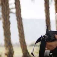 デッドヒート 8枚目の写真・画像