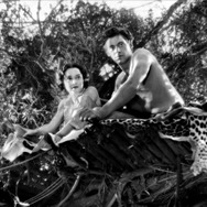 類猿人ターザン (1932) 2枚目の写真・画像