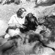 類猿人ターザン (1932) 3枚目の写真・画像