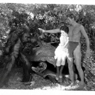 類猿人ターザン (1932) 6枚目の写真・画像