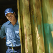 キル バード 森に潜む反逆者 6枚目の写真・画像