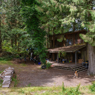 キル バード 森に潜む反逆者 11枚目の写真・画像