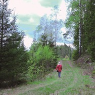 Challenged／チャレンジド 8枚目の写真・画像