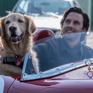 エンツォ レーサーになりたかった犬とある家族の物語 2枚目の写真・画像
