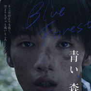 青い、森 1枚目の写真・画像