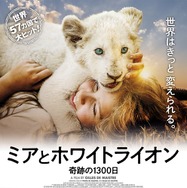 ミアとホワイトライオン 奇跡の1300日 1枚目の写真・画像