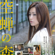 空蝉の森 1枚目の写真・画像