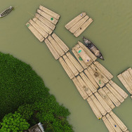 竹で稼ぐ男たち 1枚目の写真・画像