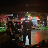 フロッグ 7枚目の写真・画像