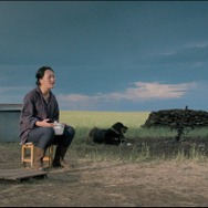 大地と白い雲 6枚目の写真・画像