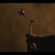 「キングダム：アシンの物語」は7月23日よりNetflixにて配信