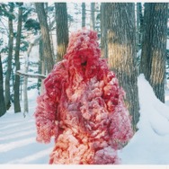 Shari 2枚目の写真・画像