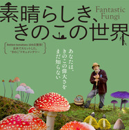 『素晴らしき、きのこの世界』(C)2018, Fantastic Fungi, LLC