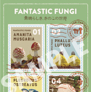 『素晴らしき、きのこの世界』(C)2018, Fantastic Fungi, LLC